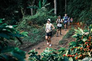 BIB: 
                            <button type="button" onclick="openModal(25820304)" class="btn btn-primary btn-sm float-right btn-popup" data-toggle="modal" data-target=".modal-high-quality">
                        <i class="fas fa-shopping-cart"></i> Add to Cart
                    </button>
                                            <button type="button" onclick="isThisMe(25820304, true)" class="btn btn-success btn-sm float-right btn-popup btn-isme hidden" data-toggle="tooltip" data-placement="bottom" title="นี่คือรูปของคุณใช่ไหม คลิกที่นี่เพื่อเอาเข้าอัลบั้ม">
                        <i class="fas fa-plus"></i> Add to album
                    </button>
                    <button type="button" onclick="isThisMe(25820304, false)" class="btn btn-warning btn-sm float-right btn-popup btn-isnotme hidden">
                        <i class="fas fa-ban"></i> Remove from album
                    </button>